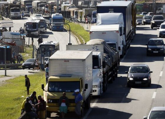 Primeiro prazo para exame toxicológico de motoristas vence neste mês