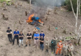 Segunda plantação de maconha é destruída no Ceará em 20 dias