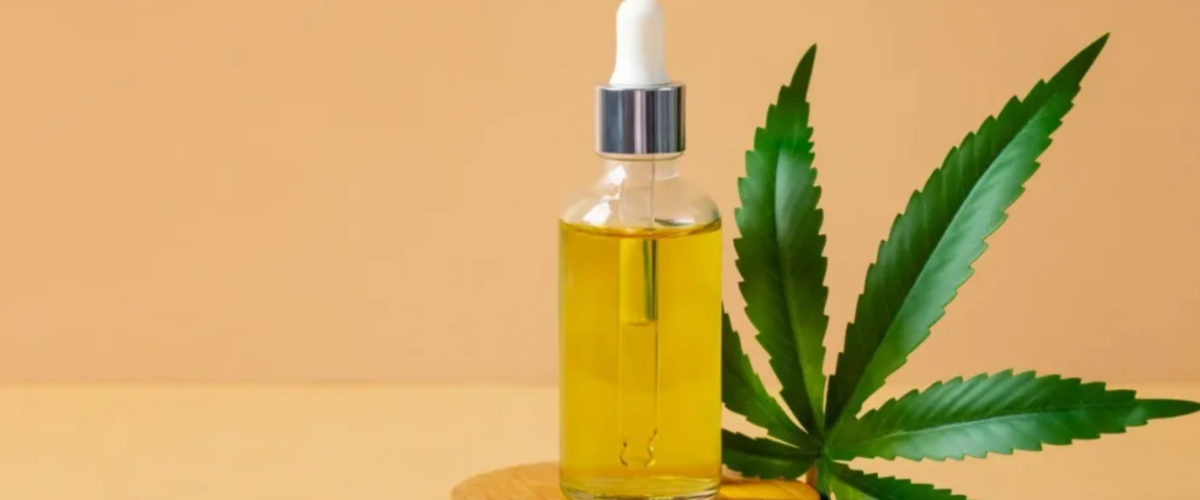 Assembleia Legislativa sedia 2º Simpósio Cearense de Cannabis Medicinal com programação de dois dias