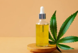Assembleia Legislativa sedia 2º Simpósio Cearense de Cannabis Medicinal com programação de dois dias
