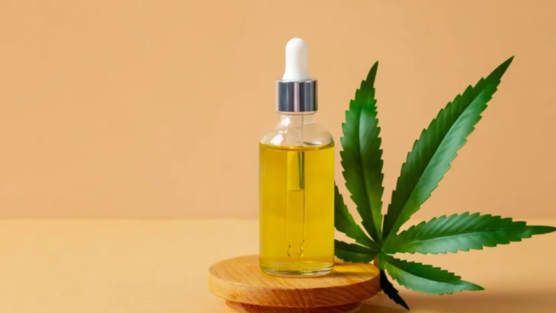 Assembleia Legislativa sedia 2º Simpósio Cearense de Cannabis Medicinal com programação de dois dias