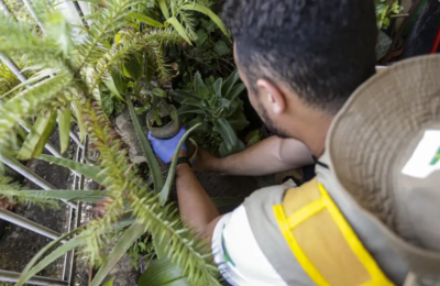 Sesa alerta para prevenção da dengue no Ceará