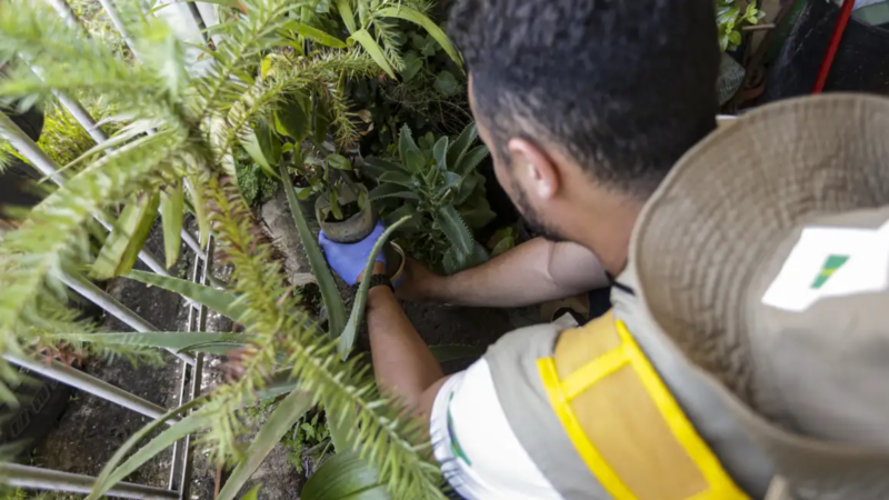 Sesa alerta para prevenção da dengue no Ceará