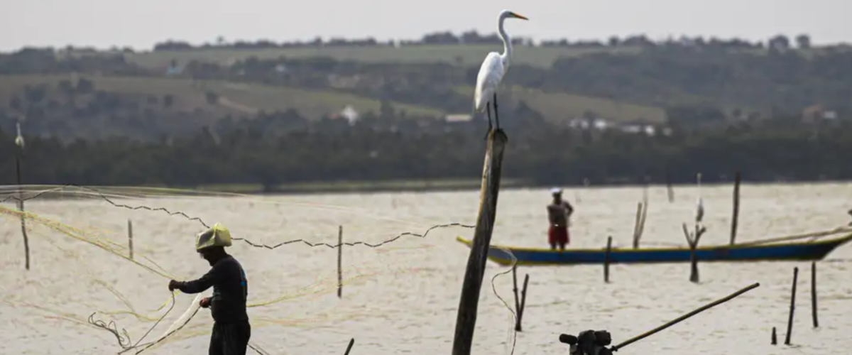 Pescador explica caso do peixe gigante na garupa de moto em Fortaleza
