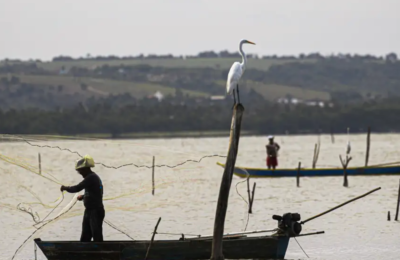 Pescador explica caso do peixe gigante na garupa de moto em Fortaleza