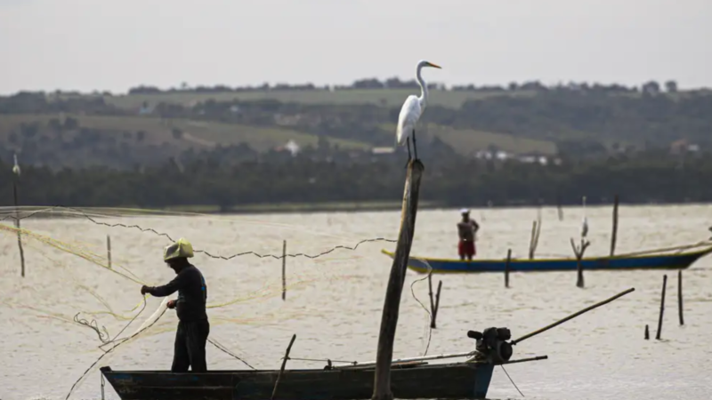 Pescador explica caso do peixe gigante na garupa de moto em Fortaleza