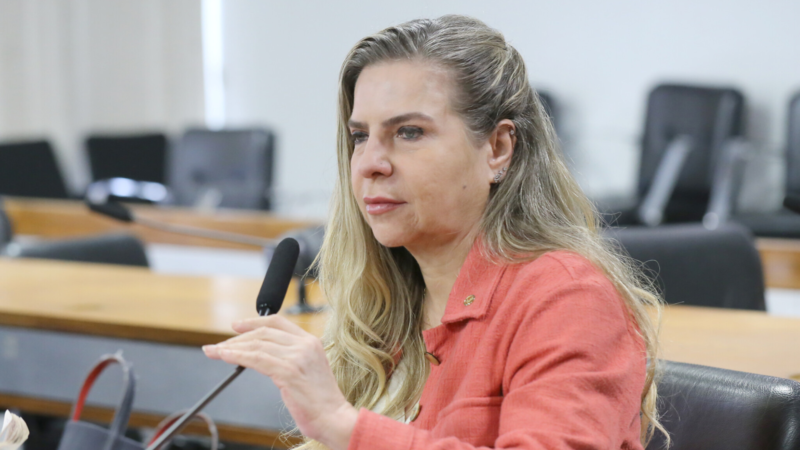 Luizianne quer tornar trabalho escravo crime hediondo
