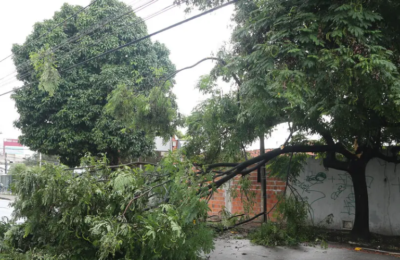 Fortaleza e 115 cidades cearenses estão em alerta de vendaval