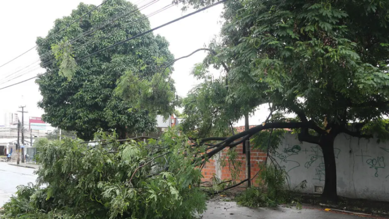 Fortaleza e 115 cidades cearenses estão em alerta de vendaval