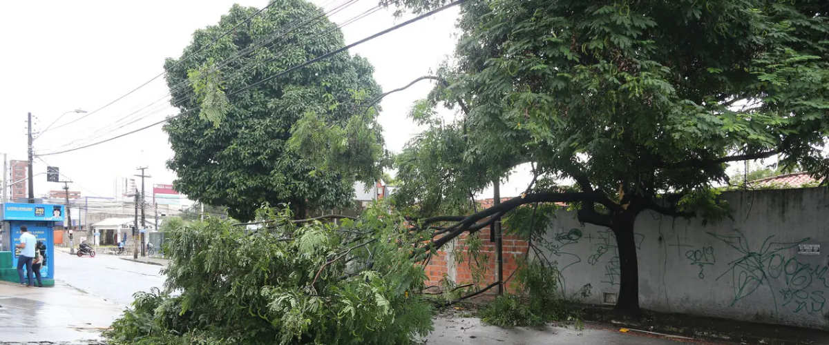 Fortaleza e 115 cidades cearenses estão em alerta de vendaval