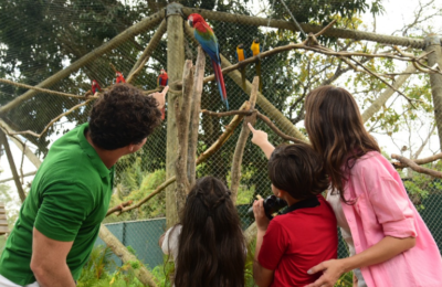 Setembro Amarelo: natureza ajuda a combater estresse no Ceará