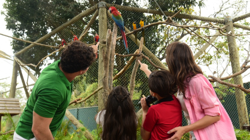 Setembro Amarelo: natureza ajuda a combater estresse no Ceará