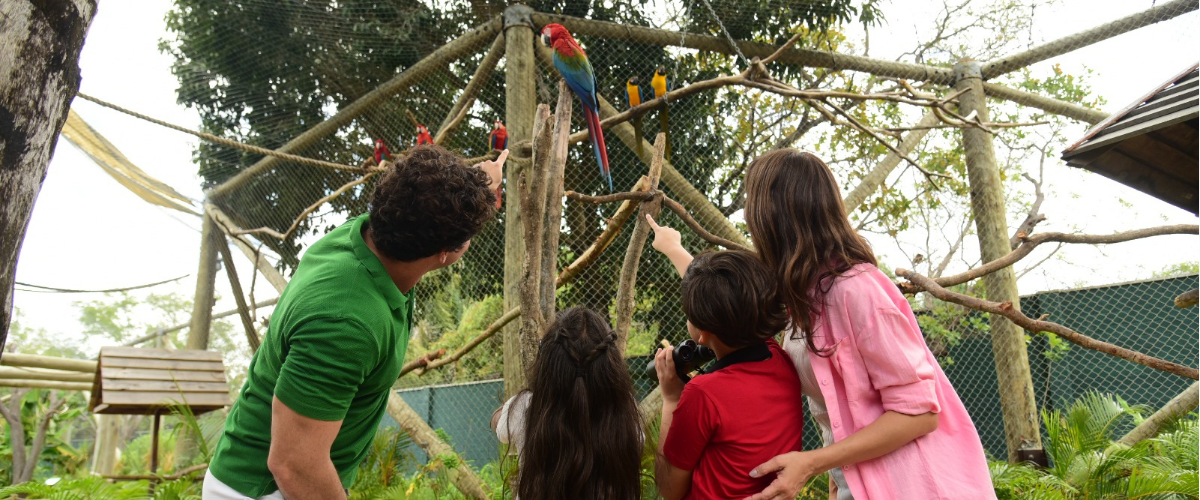 Setembro Amarelo: natureza ajuda a combater estresse no Ceará