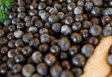 Produção de açaí no Ceará cresce 22,5% e atinge 10 cidades