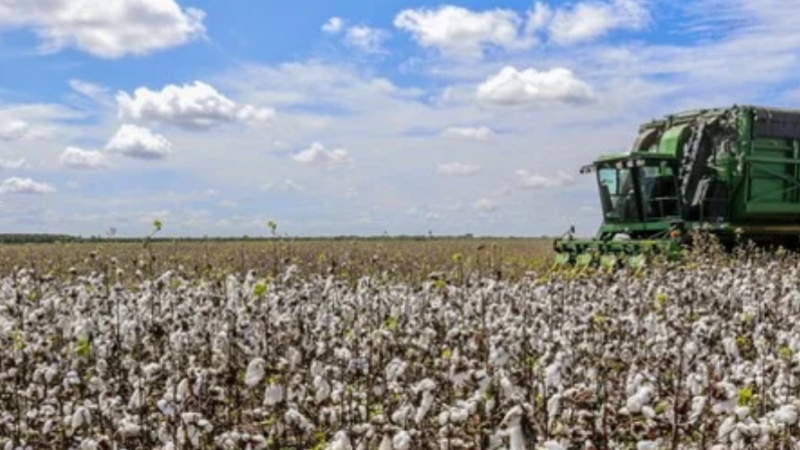 PIB do Ceará cresce 2,21% e supera média nacional no 2º trimestre