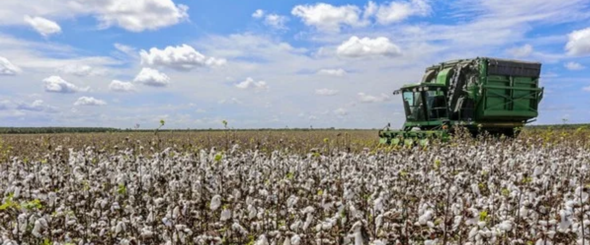 PIB do Ceará cresce 2,21% e supera média nacional no 2º trimestre