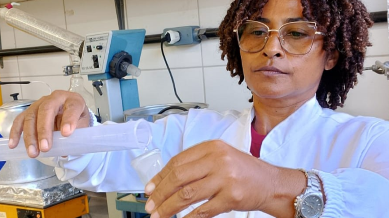 UECE e Unifor descobrem efeito calmante em composto da moringa