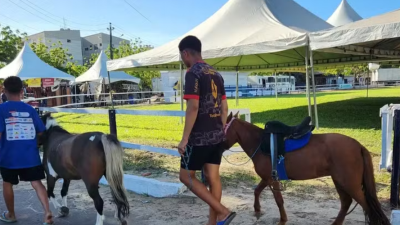 Expoece 2025: shows e atrações da edição de 70 anos